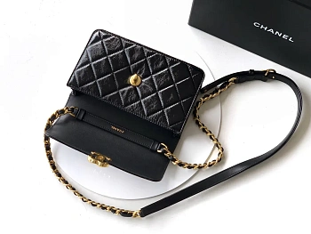 Классические Сумки Женские Chanel 11311314