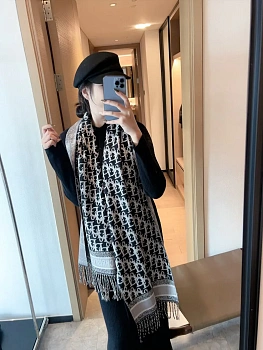 Шарфы Christian Dior 153805
