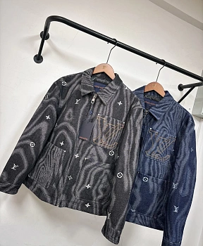 Куртки И Пуховики Мужские Louis Vuitton 228237