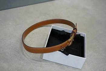 Ремни Celine 274962