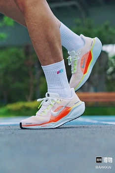 Кроссовки Женские Nike 5158