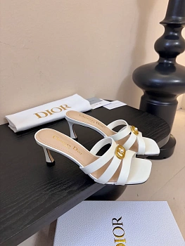 Босоножки Женские Christian Dior 1893875