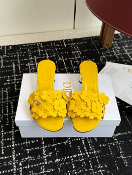 Шлепанцы Женские Christian Dior 13570930
