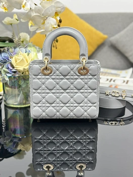 Классические Сумки Женские Christian Dior 11412574