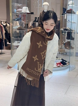 Шарфы Louis Vuitton 5894