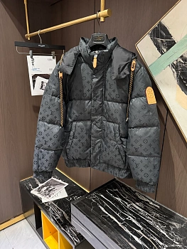Куртки И Пуховики Мужские Louis Vuitton 495282