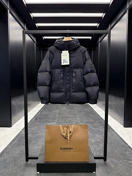 Куртки И Пуховики Мужские Burberry 867102