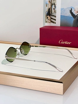 Часы Женские Cartier 11558232