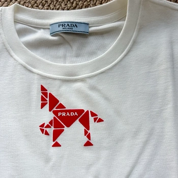 Лонгсливы Женские Prada 5892819
