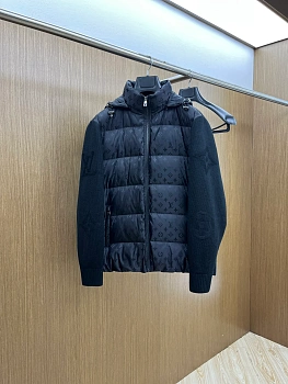 Куртки И Пуховики Мужские Louis Vuitton 988650