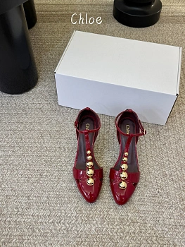 Босоножки Женские Chloe 11258652