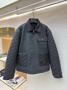 Куртки И Пуховики Мужские Louis Vuitton 852223