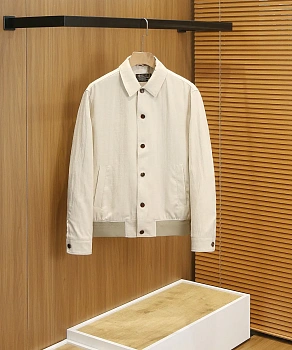 Куртки И Пуховики Мужские Loro Piana 4486307