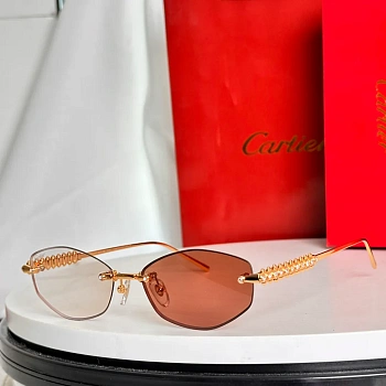 Очки Cartier 231831