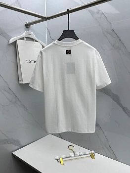 Футболки Мужские Louis Vuitton 2237395