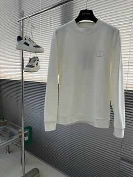 Свитшоты И Худи Мужские Christian Dior 688323