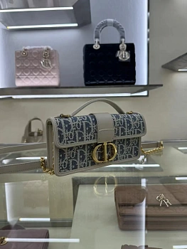 Классические Сумки Женские Christian Dior 11200399