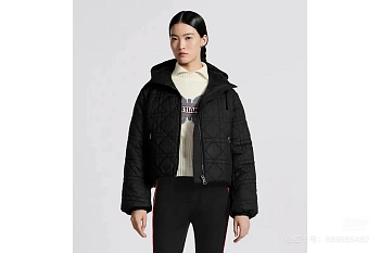 Куртки И Пуховики Женские Christian Dior 794869