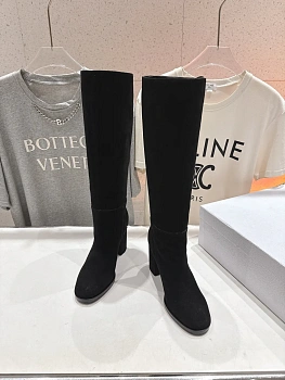 Сапоги Женские Christian Dior 304109