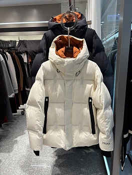 Куртки И Пуховики Мужские Zegna 932292