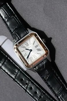Часы Женские Cartier 5097142