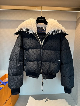 Куртки И Пуховики Женские Louis Vuitton 368278