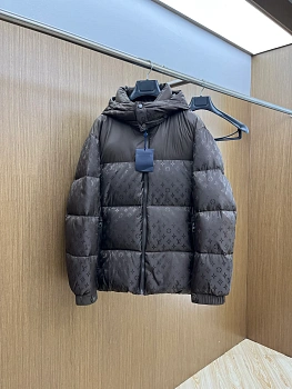 Куртки И Пуховики Мужские Louis Vuitton 786628