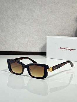 Очки Salvatore Ferragamo 378792