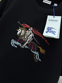 Футболки Мужские Burberry 13370802