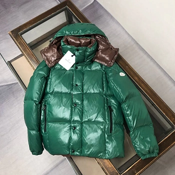 Куртки И Пуховики Мужские Moncler 200467