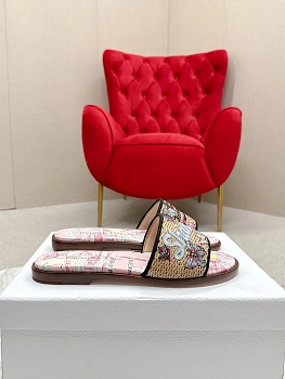 Шлепанцы Женские Christian Dior 491222