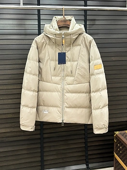 Куртки И Пуховики Мужские Louis Vuitton 492941