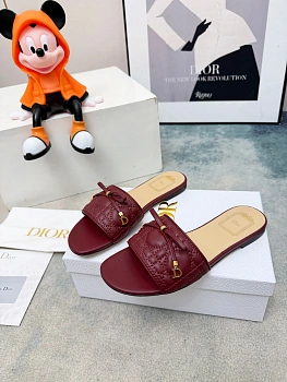 Шлепанцы Женские Christian Dior 11650986