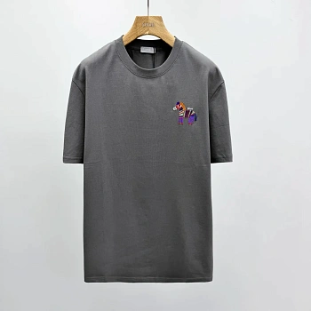 Футболки Мужские Christian Dior 5063521