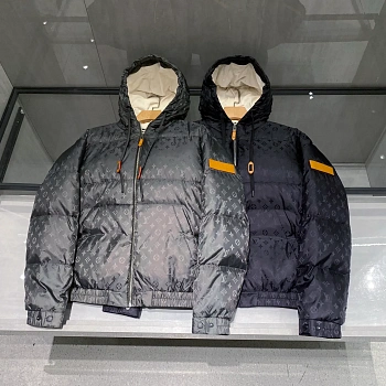 Куртки И Пуховики Мужские Louis Vuitton 999089