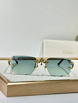 Очки Cartier 27842