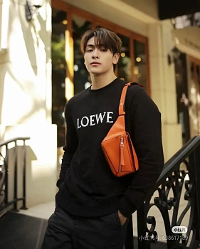 Свитшоты И Худи Мужские Loewe 214172