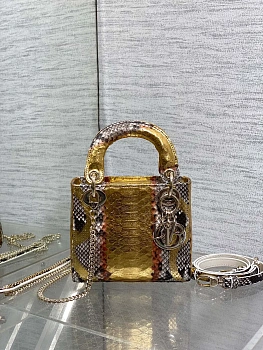 Классические Сумки Женские Christian Dior 11581726