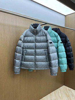 Куртки И Пуховики Мужские Christian Dior 619163