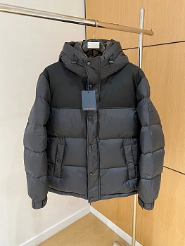 Куртки И Пуховики Мужские Louis Vuitton 859381