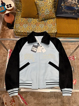 Куртки И Пуховики Мужские Louis Vuitton 608580