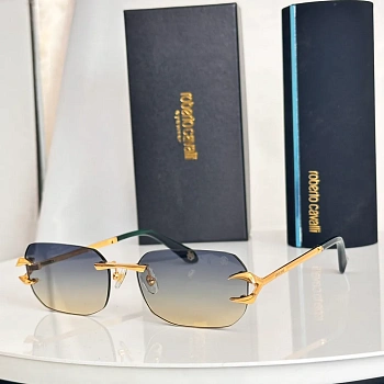 Очки Roberto Cavalli 10118386