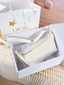 Сумки На Ремне Женские Christian Dior 82343