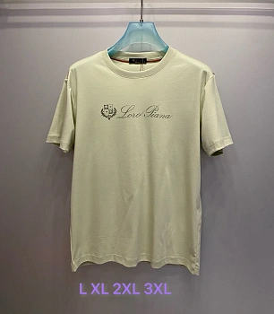 Футболки Мужские Loro Piana 1752344