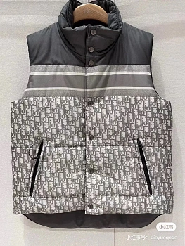 Жилеты Женские Christian Dior 402815