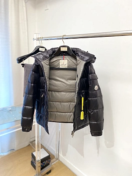 Куртки И Пуховики Мужские Moncler 273162