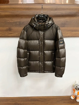 Куртки И Пуховики Мужские Fendi 747156