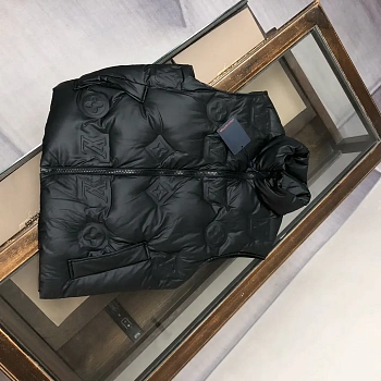 Жилеты Женские Louis Vuitton 171059