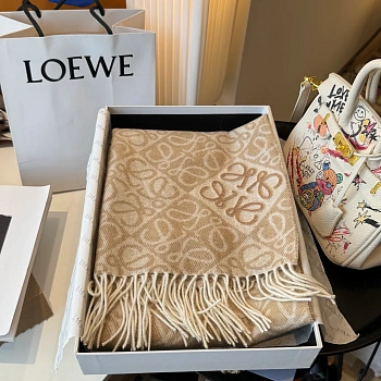 Шарфы Loewe 251407