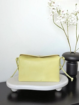 Сумки На Ремне Женские Celine 4893672